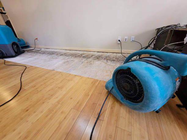 Professional Emergency Water Damage technician working in Berwyn, IL